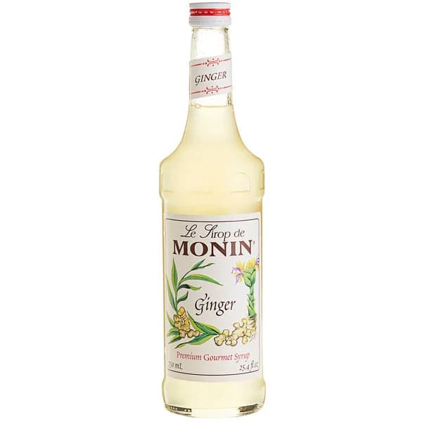 MONIN GINGER 0.7